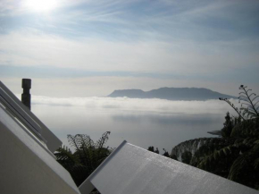 te Whare -Lake Tarawera tree-top nest